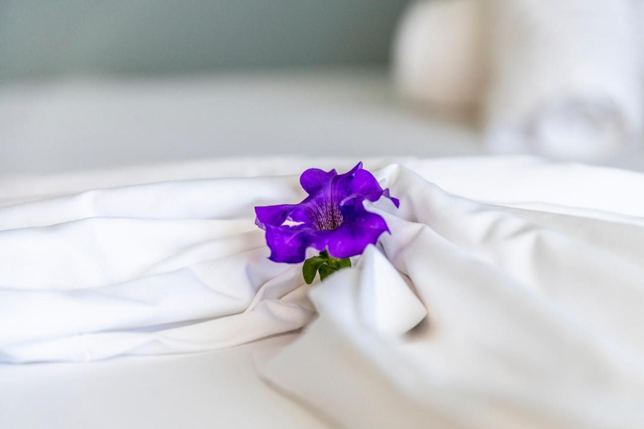Onites Elegant Suites 斯卡拉伯塔麦斯 外观 照片